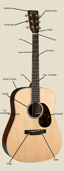 Guitar Anatomy